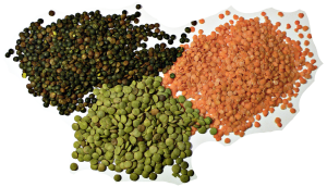 حبوبات و نقششان در رژیم غذایی سالم